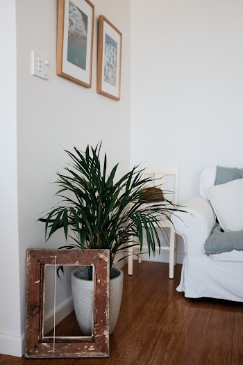 Square Brown Photo Frame Beside Green Leafed Plant and Wall