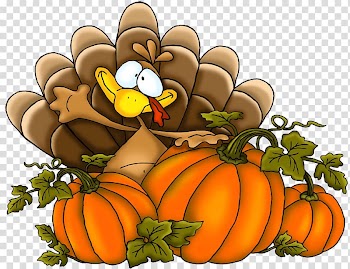 Square illustration, Thanksgiving Turkey transparent background PNG clipart