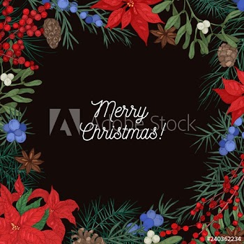 Square natural backdrop with frame made of coniferous branches and cones, poinsettia leaves, juniper and mistletoe berries, star anise hand drawn on black background