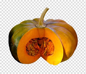 Squash soup Pumpkin seed Pumpkin bread Crookneck pumpkin, seeds transparent background PNG clipart