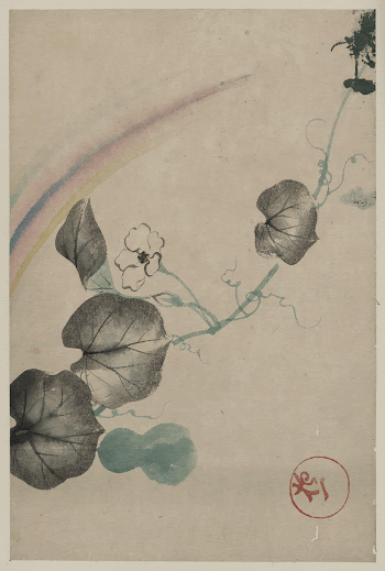[Squash vine with blossom, squash, | Free Photo - rawpixel