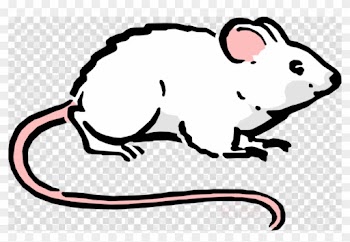 Squeak-squad.png Picture Frame