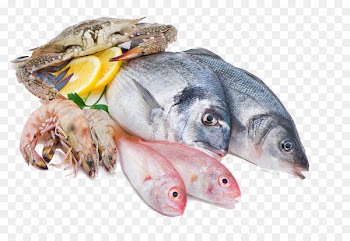 Squid as food Fish Seafood Meat - seafood 