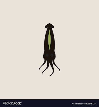 Squid icon simple of squid icon vector image