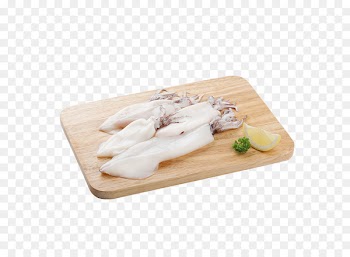 Squid Seafood Coleoids Fish - squid 