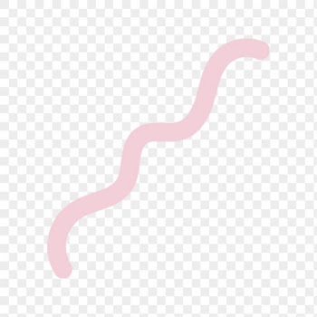 Squiggle line png sticker on transparent | Free PNG - rawpixel