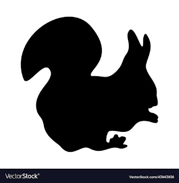 squirrel