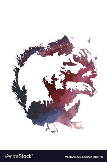 squirrel abstract creative poster des