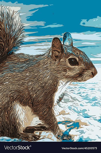 squirrel animal creative poster image