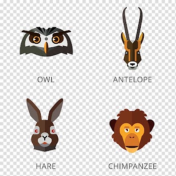 Squirrel Animal Illustration, Animal Avatar transparent background PNG clipart