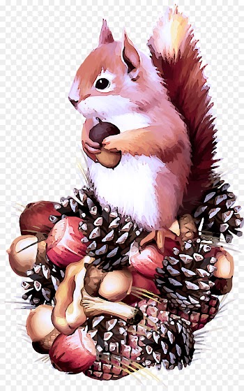 squirrel cartoon clip art eurasian red squirrel fictional character