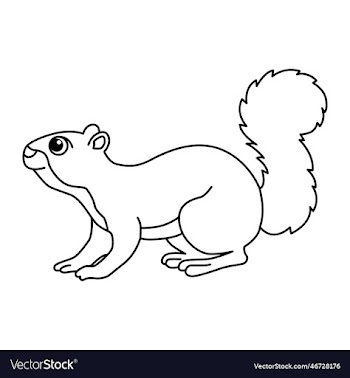 squirrel cartoon coloring page for kids