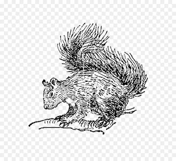 Squirrel Digital stamp Whiskers Clip art Postage Stamps - squirrel 