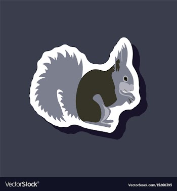 Squirrel paper sticker on stylish background vector image