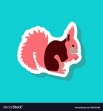 Squirrel paper sticker on stylish background vector image