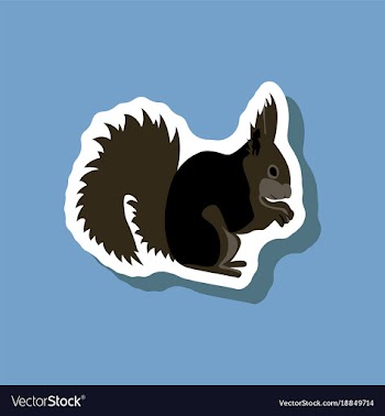 Squirrel paper sticker on stylish background vector image