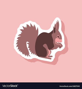 Squirrel paper sticker on stylish background vector image