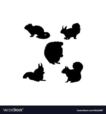 squirrel set silhouette icon logo