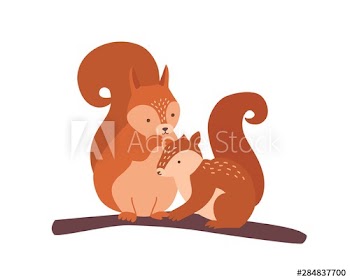 Squirrel with baby isolated on white background