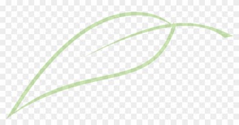 Sr Logo Leaf Watermark Accommodation Lockyer Valley - Leaf