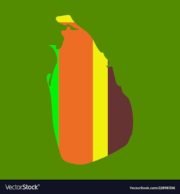 Sri lanka set detailed country shape with region vector image