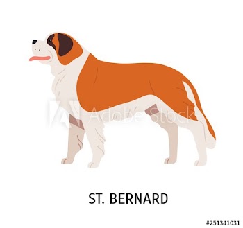 St Bernard