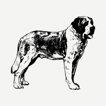 St Bernard dog drawing, hand | Free PSD - rawpixel