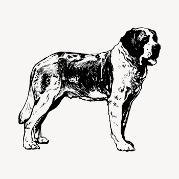 St Bernard dog drawing, hand | Free Vector - rawpixel
