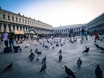 St. Mark&rsquo;s Square, Venice, Italy. | Free Photo - rawpixel