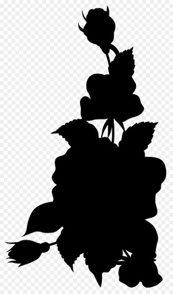 St Winefride's Well Image Photograph Clip art Silhouette -  