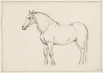 Staand paard, naar links (1818) | Free Photo - rawpixel