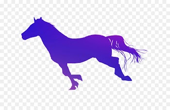 stable Mustang Stallion Round pen Equestrian -  