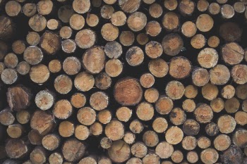Stack of Firewood