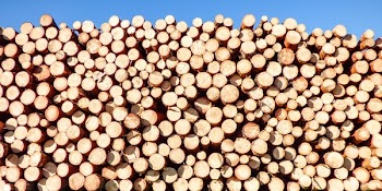 Stack of Firewood