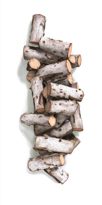 Stacked Logs on White Background