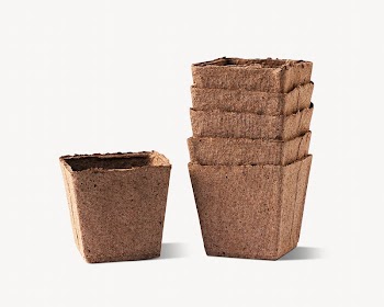 Stacked plant pot  isolated | Free Photo - rawpixel