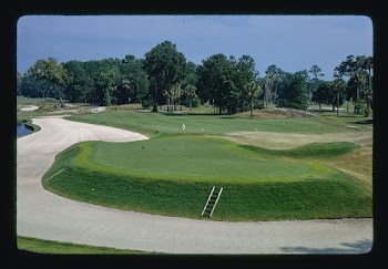 Stadium Course Tournament, Ponte Vedra Beach,… | Free public domain photo