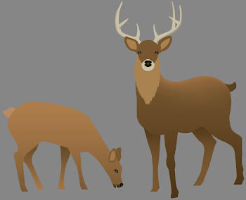 Stag and Doe Transparent PNG Image | Gallery Yopriceville - High ...
