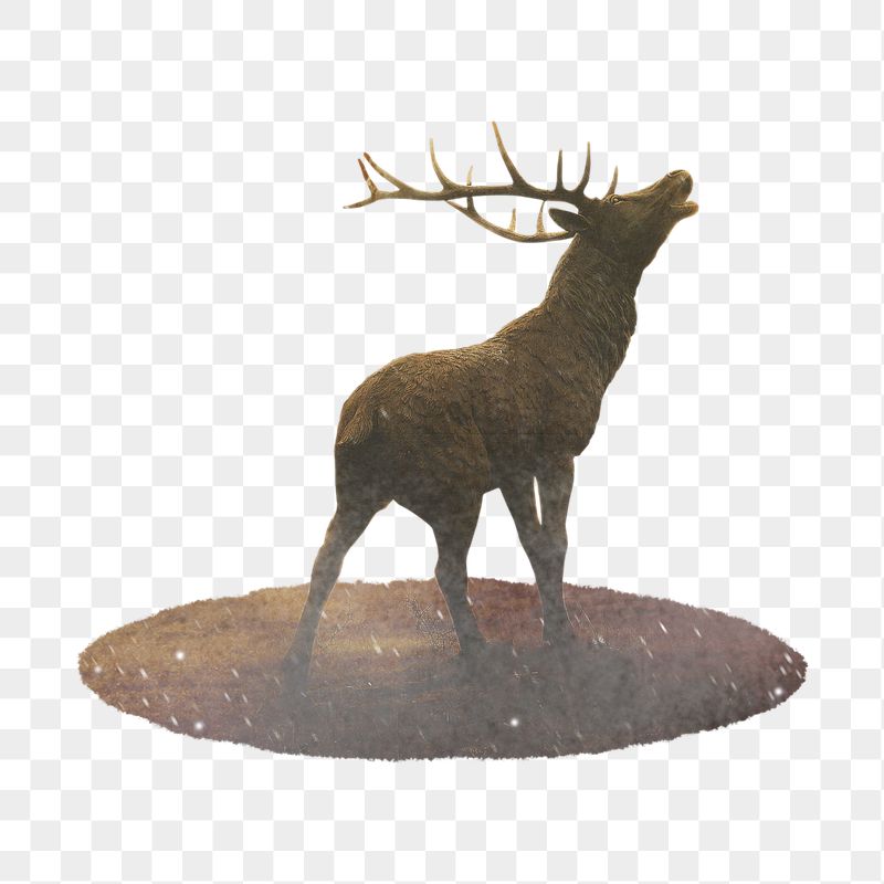 Stag, animal png sticker, animal, | Free PNG - rawpixel