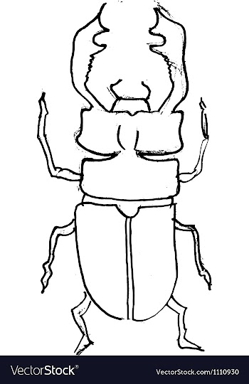 Stag-beetle vector image