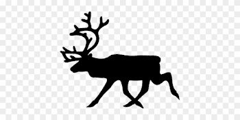 Stag Moose Elk Deer Animal Mammal Moose Mo - Reindeer Black And ...