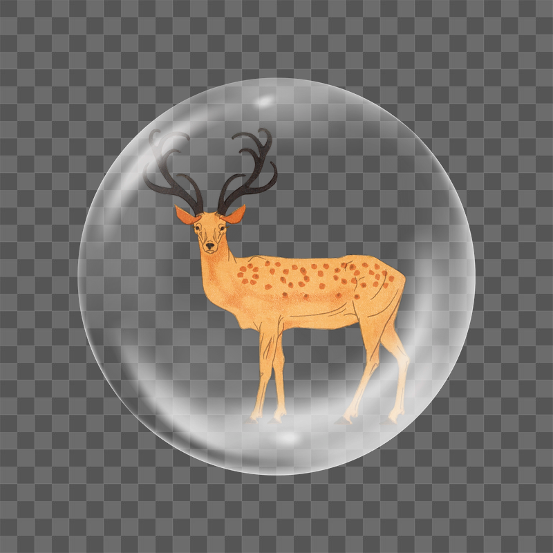 Stag png wild animal sticker, | Free PNG - rawpixel