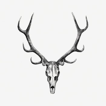 Stag skull drawing, wildlife print, | Free Photo Illustration - rawpixel