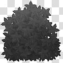 Stages, black floral abstract art transparent background PNG clipart