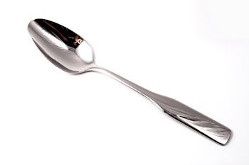 Stainless Steel Spoon