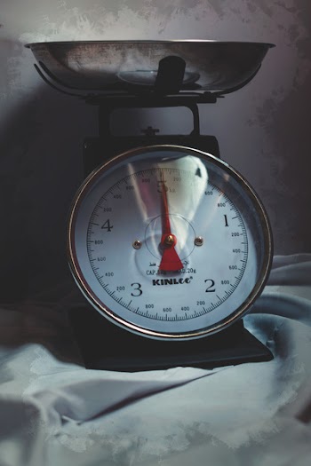 Stainless Steel Weighing Scale
