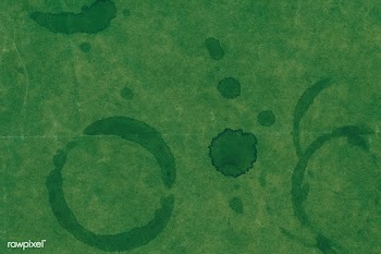 Stains on a green paper textured background | Free  illustration - 2341968