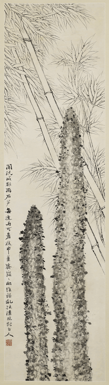 stalks and leaves of bamboo | Free Photo - rawpixel