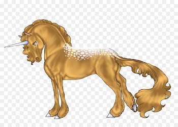 Stallion Appaloosa Mane Mustang - lion 