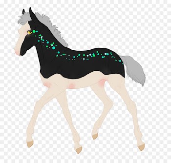 Stallion Mustang Foal Mare Colt - mustang 
